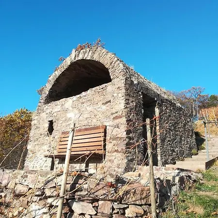 Doersthof 酒店 阿尔岑瑙·因·尤特弗兰恩